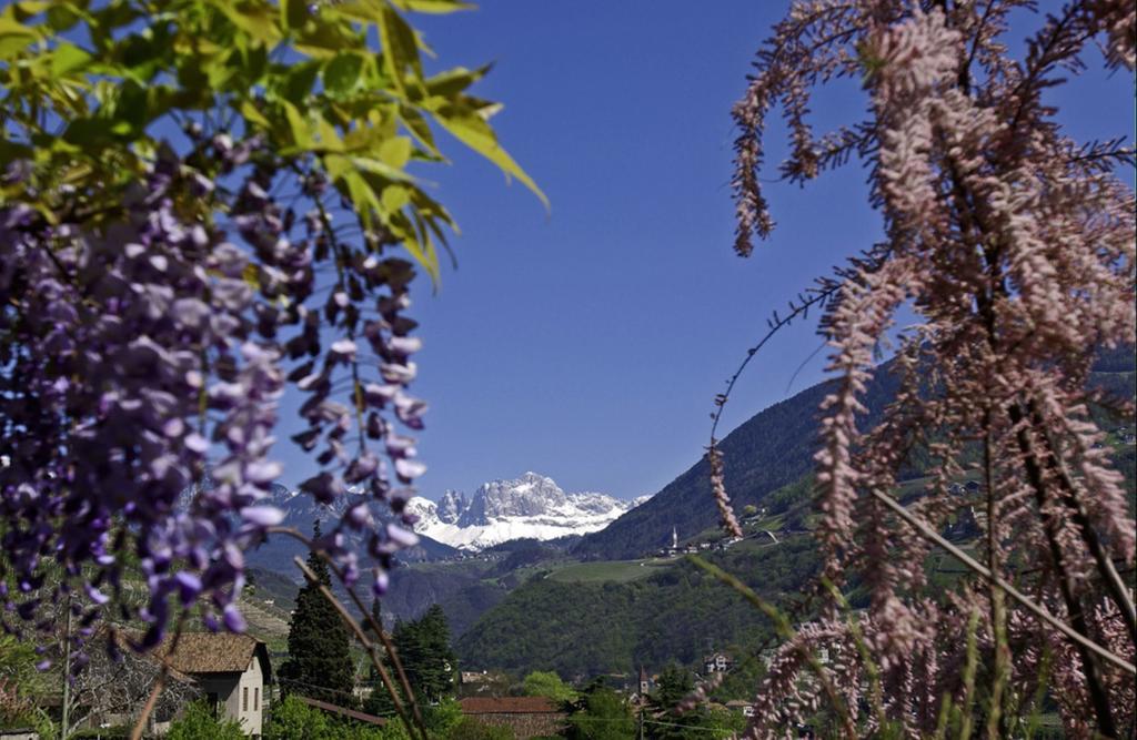 Hotel Rentschnerhof Bolzano Kültér fotó