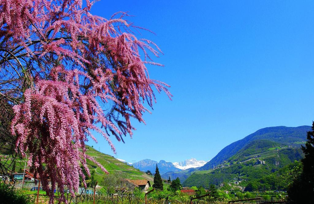 Hotel Rentschnerhof Bolzano Kültér fotó
